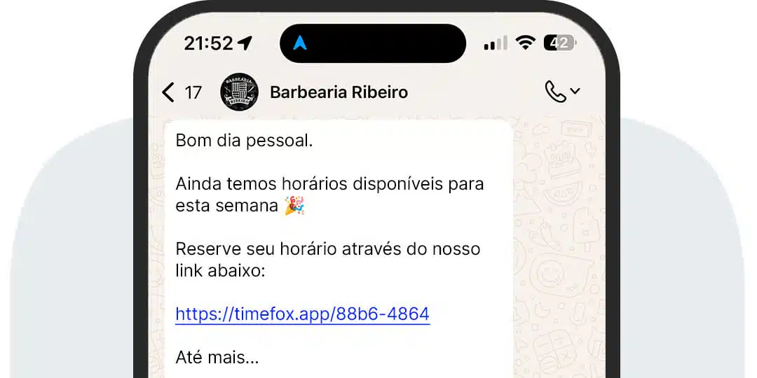 timefox-imagem-5